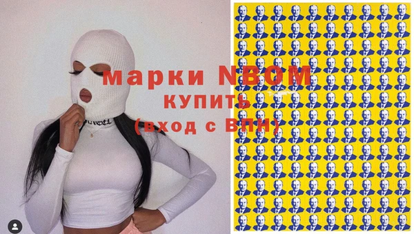 твердый Заводоуковск